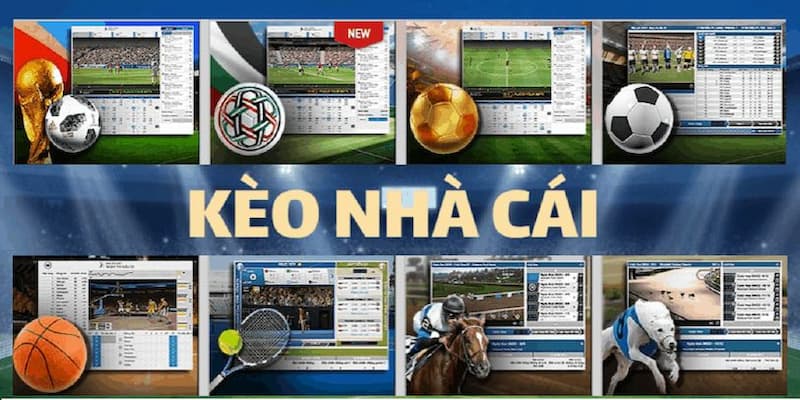 Kinh nghiệm soi kèo hiệu quả cùng Kèo nhà cái 5